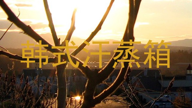 韩式汗蒸箱