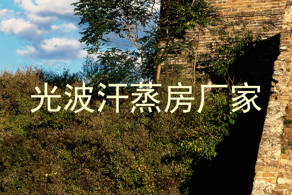 光波汗蒸房厂家