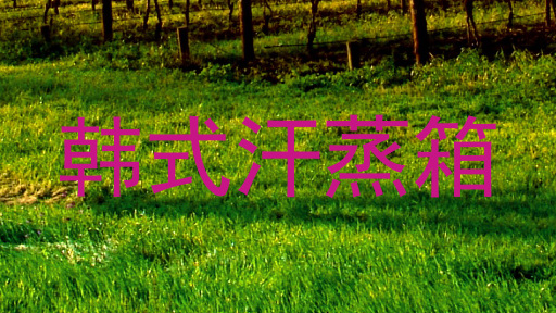 韩式汗蒸箱