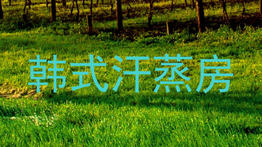 韩式汗蒸房