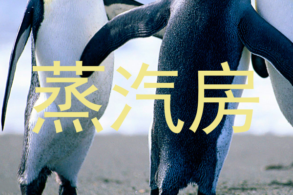 蒸汽房