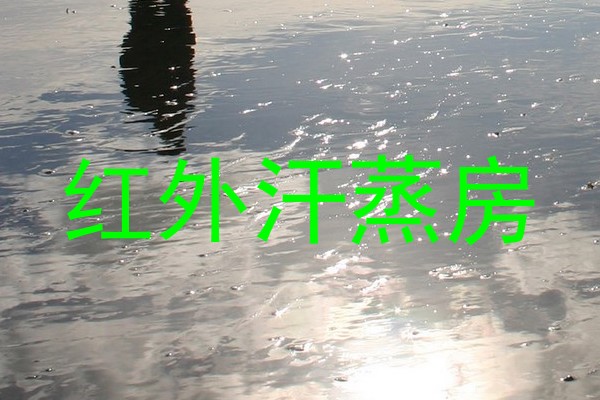 红外汗蒸房