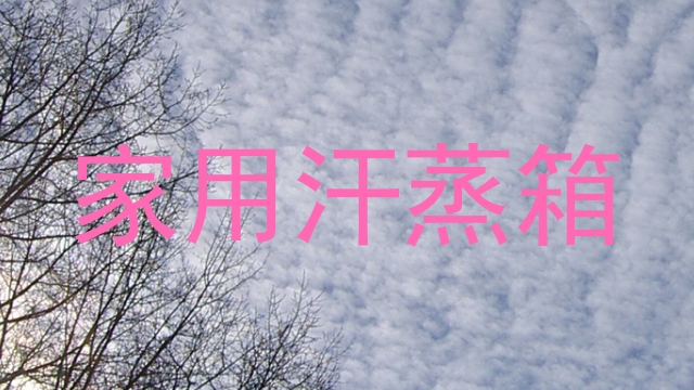 家用汗蒸箱