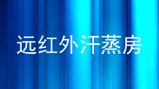 远红外汗蒸房