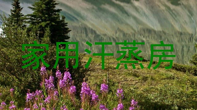 家用汗蒸房