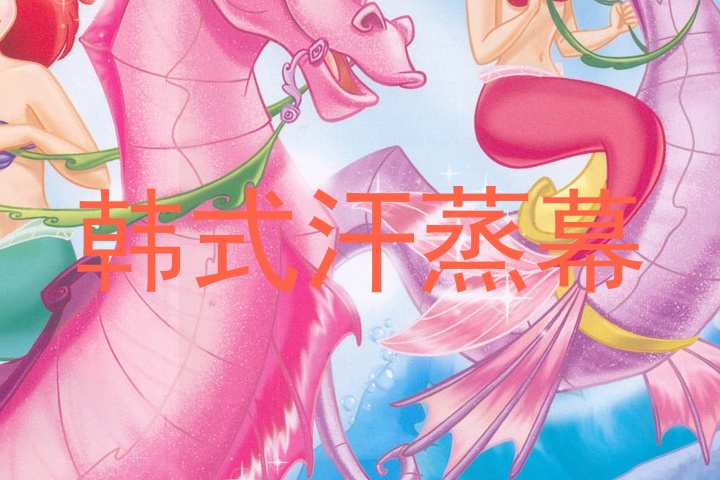 韩式汗蒸幕
