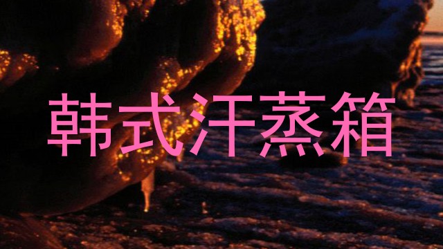 韩式汗蒸箱