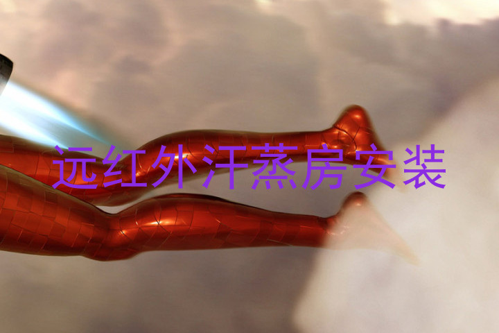 远红外汗蒸房安装