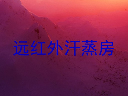 远红外汗蒸房