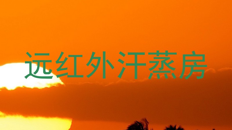 远红外汗蒸房