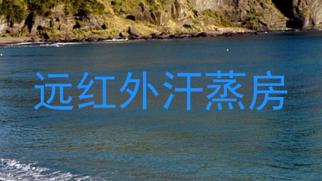 远红外汗蒸房