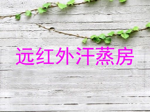 远红外汗蒸房