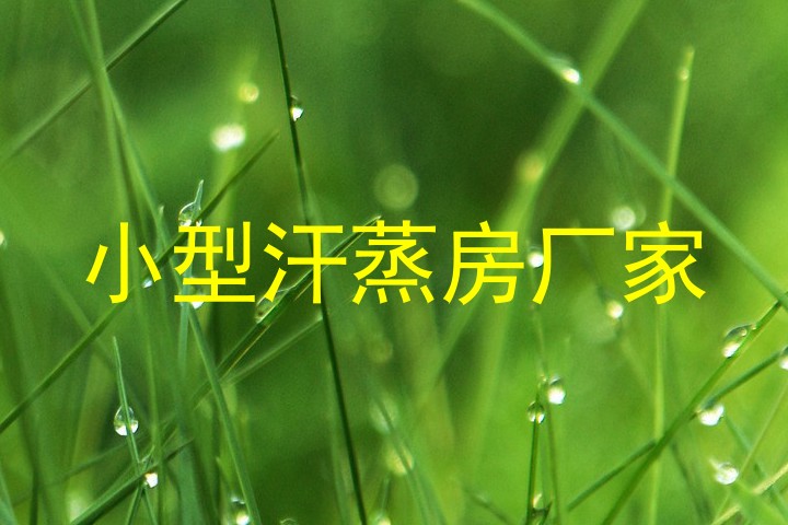小型汗蒸房厂家