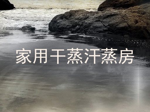 家用干蒸汗蒸房