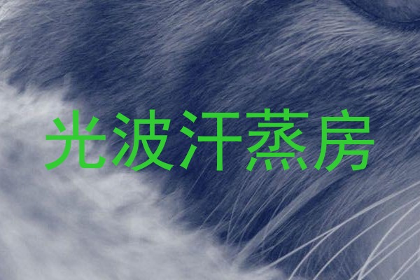 光波汗蒸房