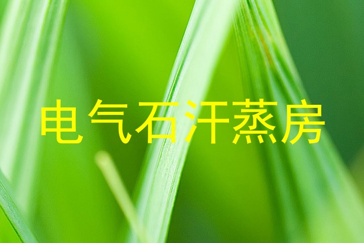 电气石汗蒸房