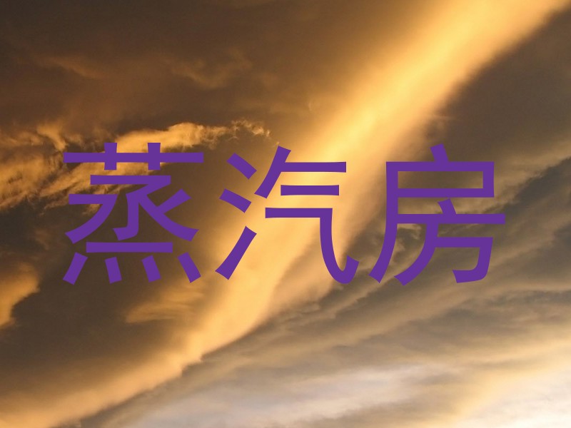 蒸汽房
