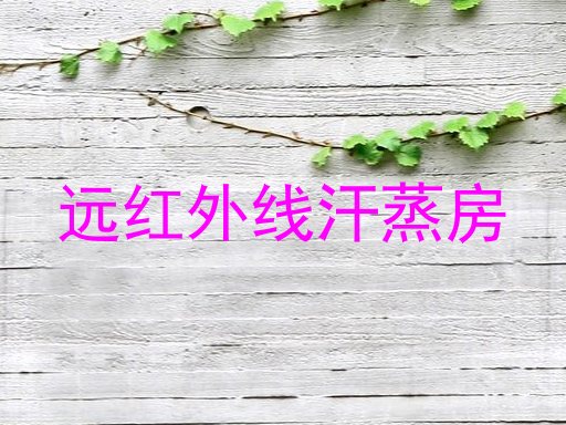 远红外线汗蒸房