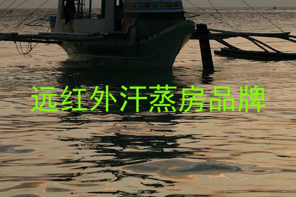 远红外汗蒸房品牌