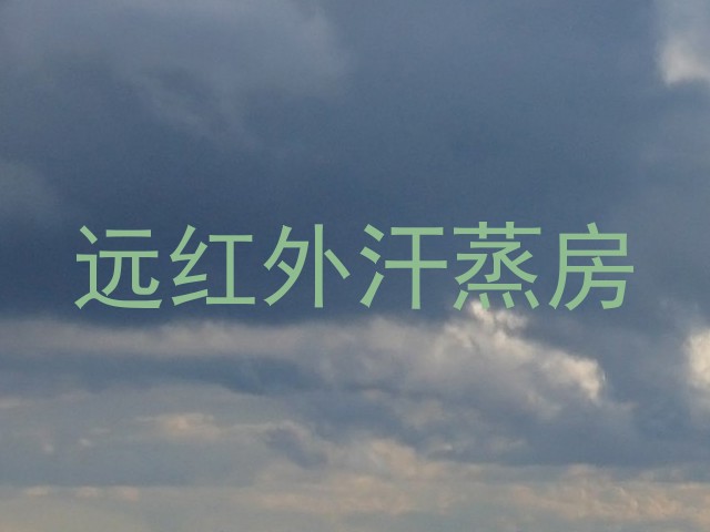 远红外汗蒸房