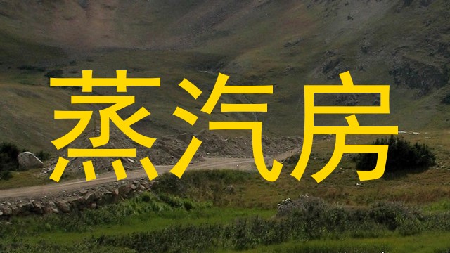 蒸汽房