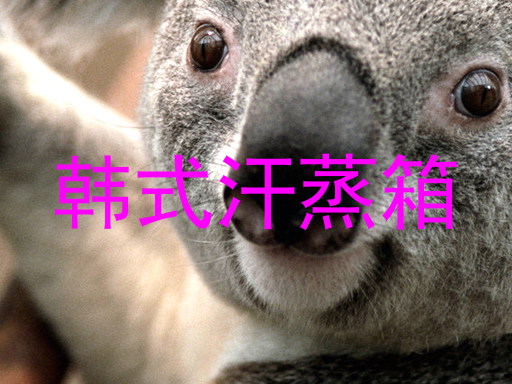 韩式汗蒸箱