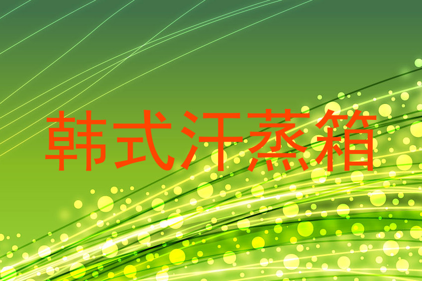 韩式汗蒸箱
