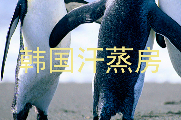 韩国汗蒸房