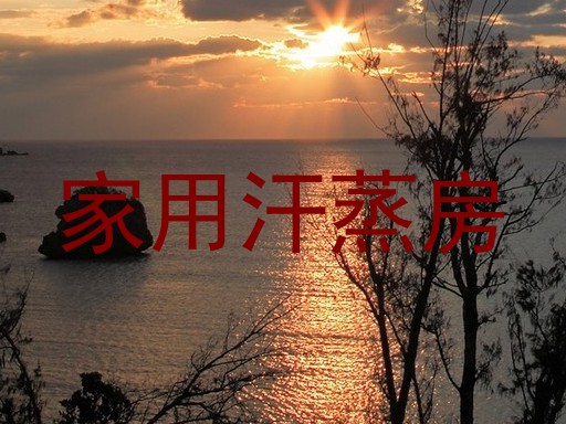 家用汗蒸房