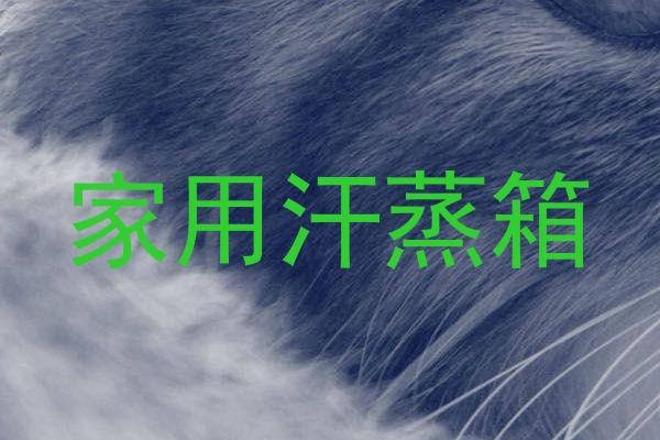 家用汗蒸箱