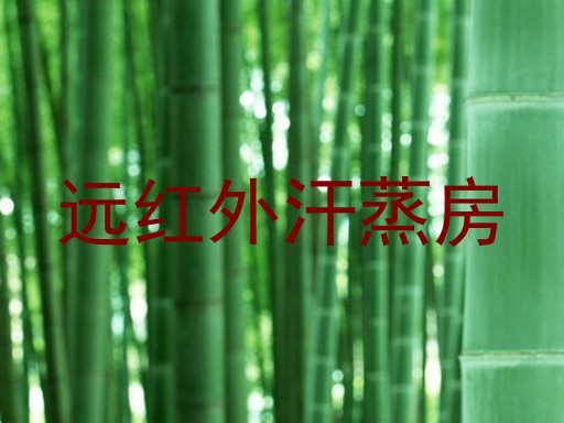 远红外汗蒸房