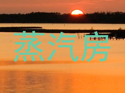 蒸汽房