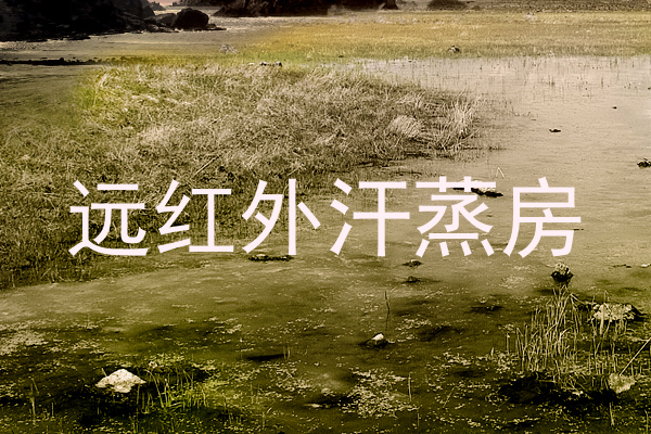 远红外汗蒸房