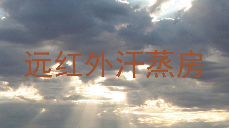 远红外汗蒸房