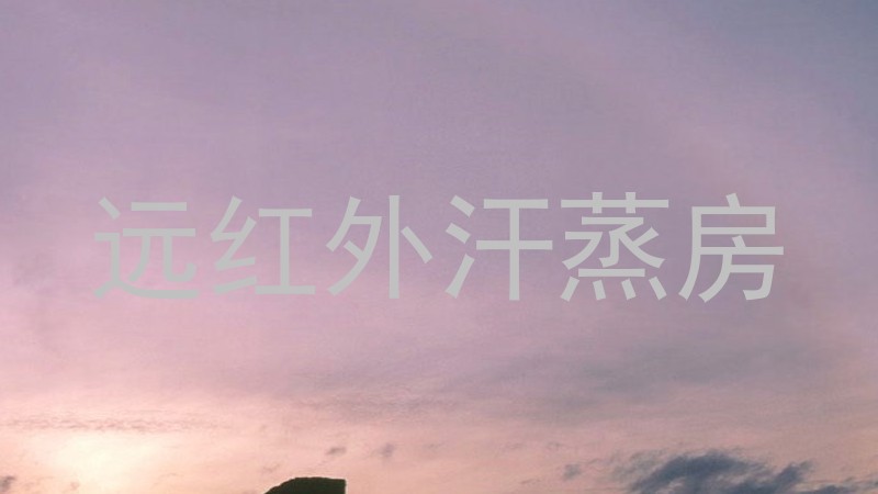 远红外汗蒸房