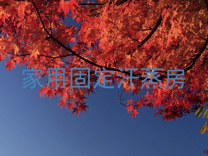 家用固定汗蒸房