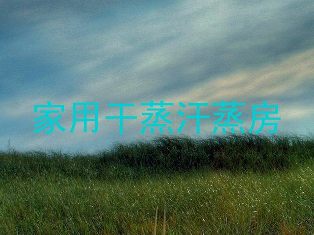 家用干蒸汗蒸房