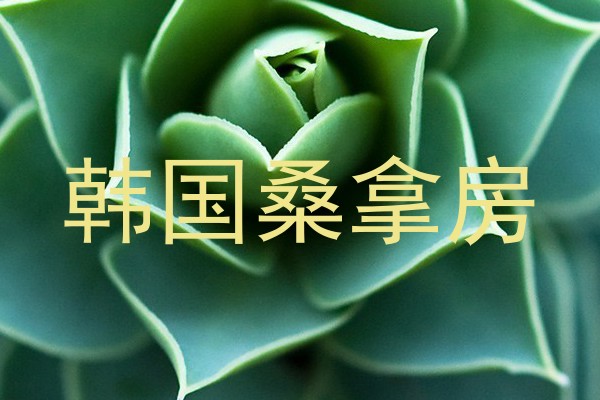 韩国桑拿房