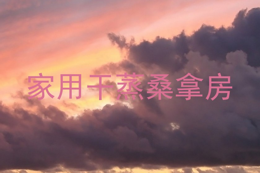 家用干蒸桑拿房