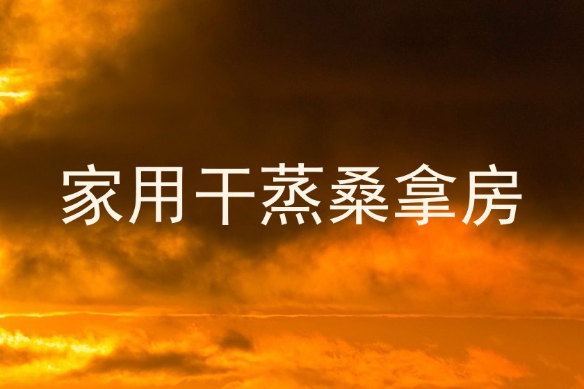 家用干蒸桑拿房