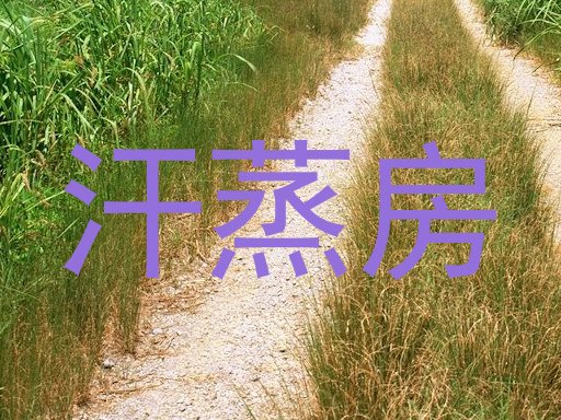 汗蒸房