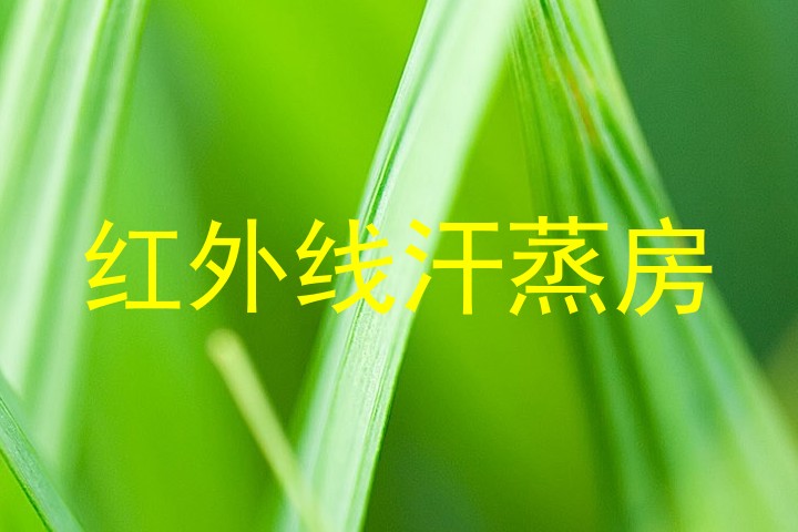 红外线汗蒸房
