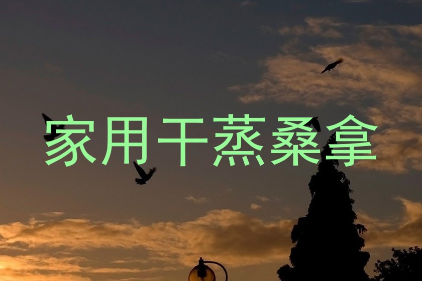 家用干蒸桑拿