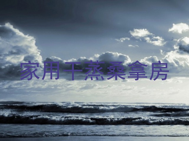 家用干蒸桑拿房