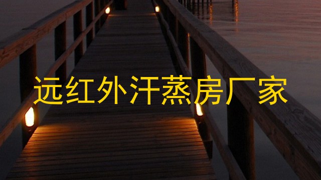 远红外汗蒸房厂家
