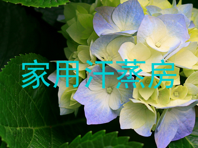 家用汗蒸房