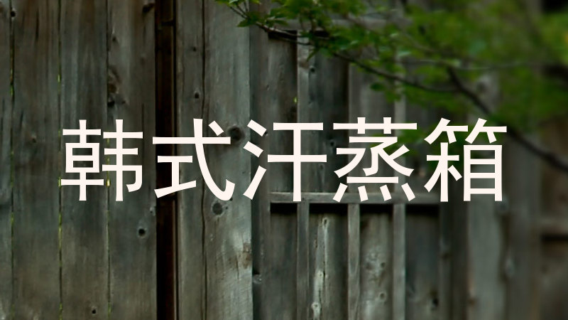 韩式汗蒸箱