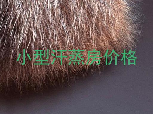 小型汗蒸房价格