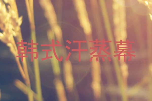 韩式汗蒸幕