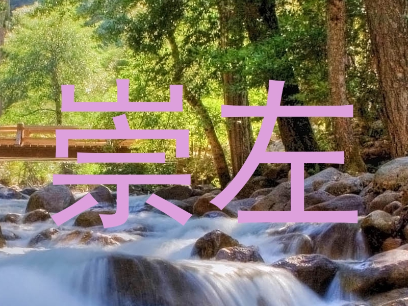 崇左
